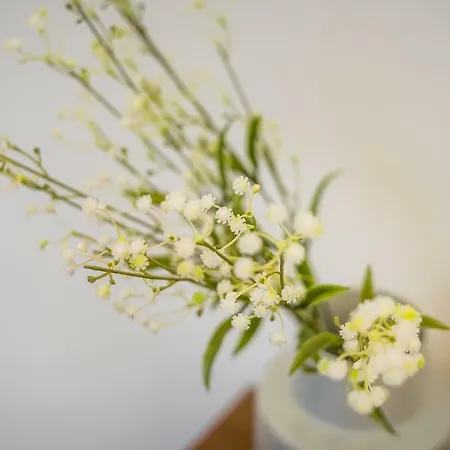 Luxury Loft Boedapest