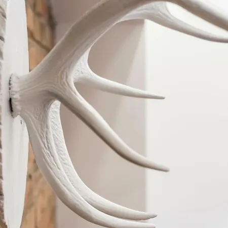 Apartmán Luxury Loft Budapešť