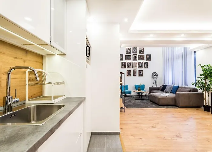 Luxury Loft 公寓 *
