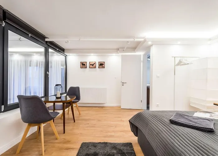Luxury Loft 公寓 *